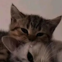 ⋆˚꩜｡
