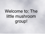 •Little_Mushroom_Group•