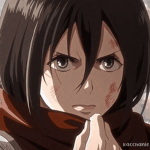 Grupo da mikasa