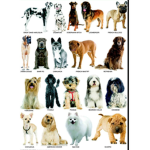 The puppy group ;)