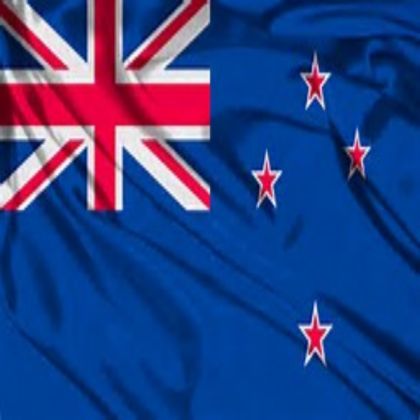 flag Roblox decal