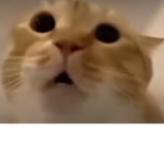MunzForAll
