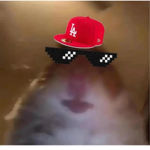 ZhirDex
