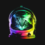 tiger co space company