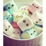 Marshmallow's fan group