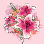 Lillies ୨୧