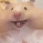 RAT PIZZA's