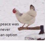 kill chicken get nug