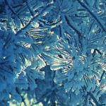 Frosty.