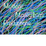Mr doge money bags said party production
