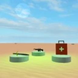 Combat
