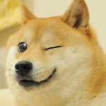 Dog Boss B)