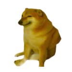 柴犬軍團