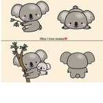 Miss i love koalas