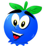 Delight Blueberry