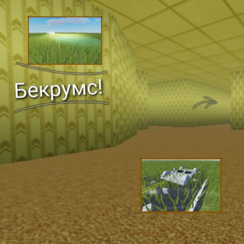 бекрумс