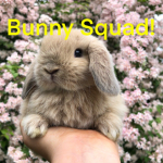 Bunny.Squad! <3