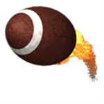 NFL RAVENS !!!