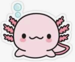 PREPPY AXOLOTLSSSSSSSS