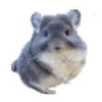 Chinchilla Productions