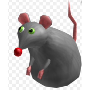 Rat boi hangout