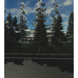 White Forest