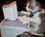 Catty's Fan Group!