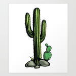 The Calm Cacti