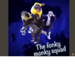 The funky monke group