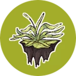 caption=Badge