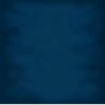 Naval Conquest