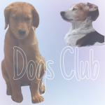 Club of Dogs