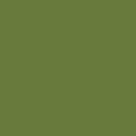 Philippine Army ᅠᅠ