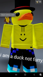 I am not a furry I am a duck