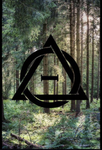| The wyllow tree pack|