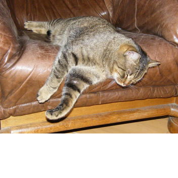 just a lazy Roleplay place 😉