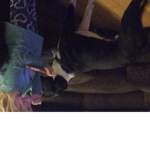 The loving puppy’s