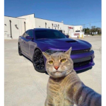 Combat Gamer's