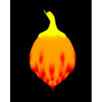 RoBlox Piece Magu Magu No Mi Experience