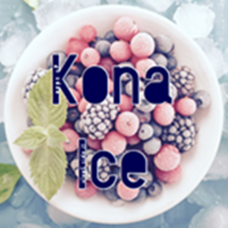 Kona Ice V1 [UPDATE!]