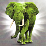 Green elephants