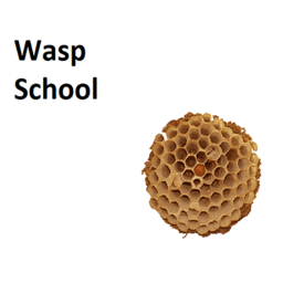 Wasp school