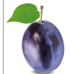 Plum Planet