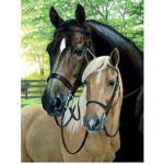 Loved stables
