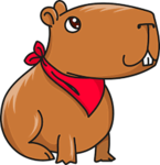 capibara clothing store