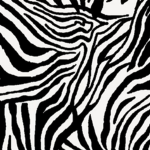 Zebra Store