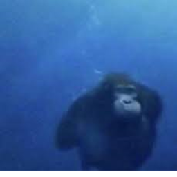 Monke Ship