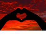 No Hate Hangout<3