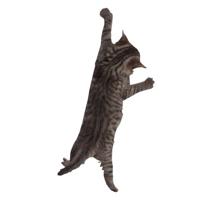 There's a cat on me!! 0_o Roblox item