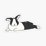 Bunny Owners!